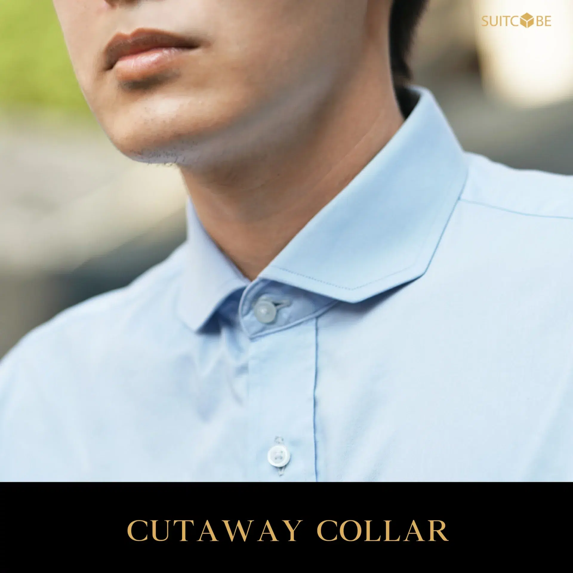 Cutaway Collar