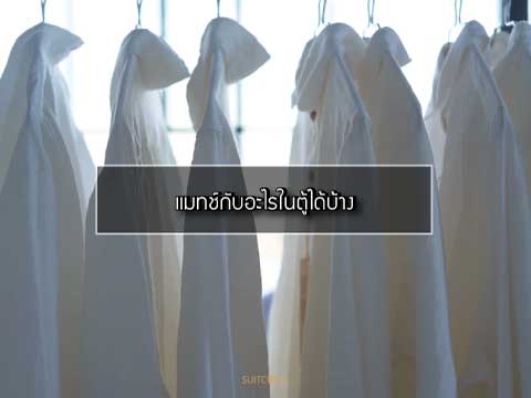 วิธีเลือกซื้อเสื้อเชิ้ต