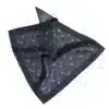 PocketSquare